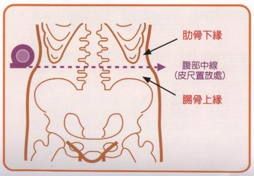 遠離中老年病-腰圍測量2